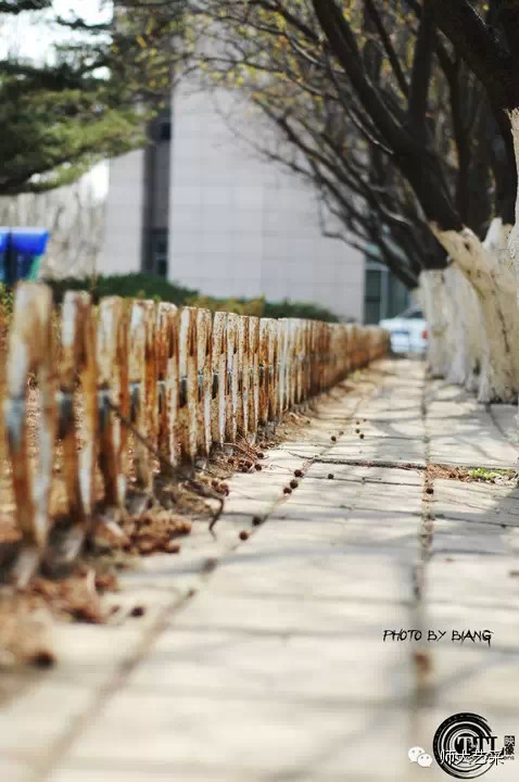 辽师这么美，你造吗-远方教程